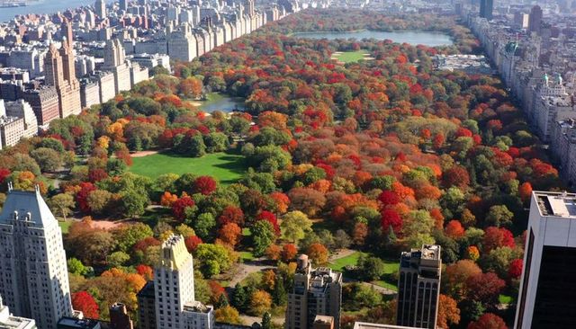Central park aerial view showing autumn foliage, manhattan skyline, landscaped ponds