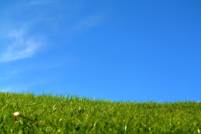 Clear Blue Sky Above Lush Green Grass Field - Download Free Stock Photos Pikwizard.com
