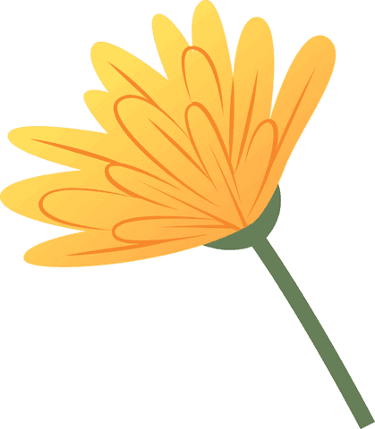 Transparent side view of gradient daisy illustration
