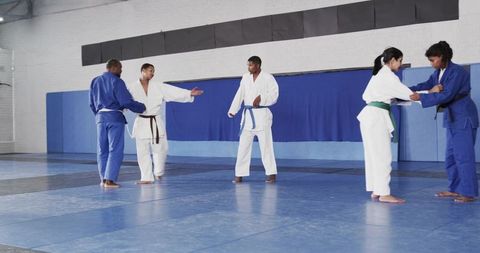 Diverse martial arts class sparring on blue mats