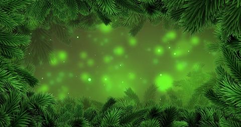 Festive Green Background with Fir Branches and Snowflakes
