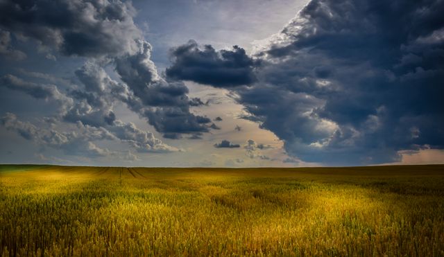 This image can be used to depict the beauty and power of nature, highlighting the contrast between the golden wheat field and the stormy, dramatic sky. It is suitable for agricultural themes, rural lifestyle, weather conditions, and nature inspired designs. Ideal for use in digital media, promotional materials for agriculture or weather-related content, and backgrounds.