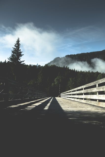 Tranquil Wooden Bridge in Forest with Mountain and Cloudy Sky Background - Download Free Stock Images Pikwizard.com