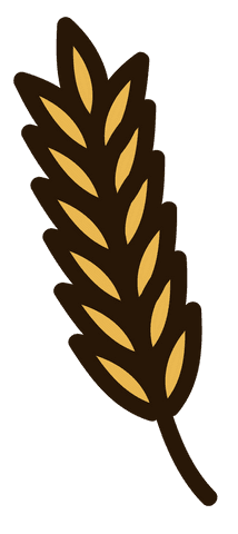 golden ear of wheat illustration on transparent background - Download Free Stock Videos Pikwizard.com