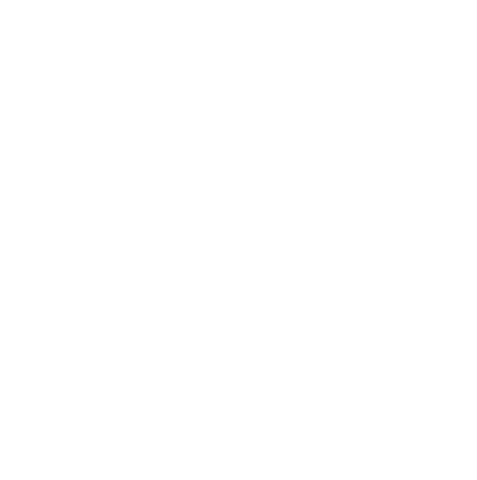 Transparent Silhouette of Woman Holding Camera Lifestyle Concept
