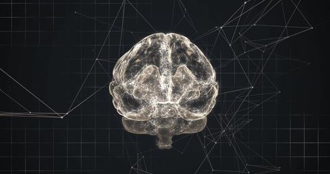 Digital Visualization of Human Brain with Data Networks - Download Free Stock Images Pikwizard.com