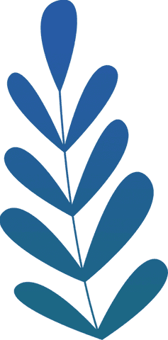 Minimalist blue botanical frond on transparent background