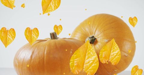 Colorful autumn leaves falling over pumpkins celebrating halloween