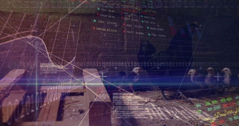 Chicken farming trends with stock market data overlaid