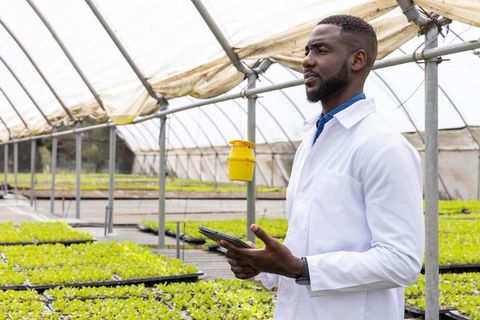 Agricultural scientist observing greenhouse plants with tablet