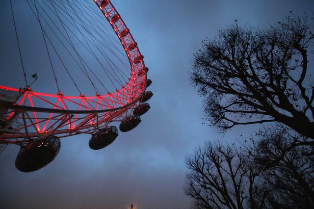 London Eye Illuminated at Dusk with Silhouettes of Bare Trees - Download Free Stock Photos Pikwizard.com