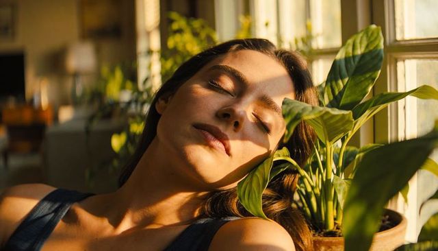 Woman resting by sunny window with lush houseplant basking in golden light