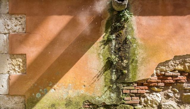 Weathered terracotta courtyard wall with moss spilling from stone spout and exposed brick