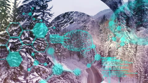 Abstract Data Visualization in a Winter Forest Landscape