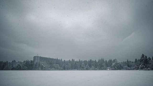Snowy field and treeline with distant building and hut under overcast winter sky