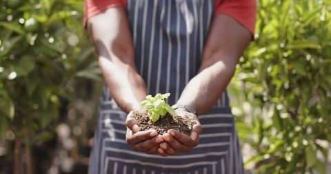 Gardener Holding Seedling Between Hands in Outdoor Nursery
