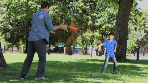Father and Son Bonding While Playing Frisbee Outdoors