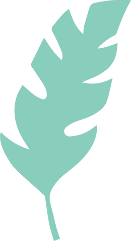 Turquoise green leaf silhouette on transparent background