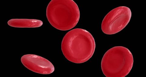 Close-up of Red Blood Cells on Black Background - Download Free Stock Images Pikwizard.com
