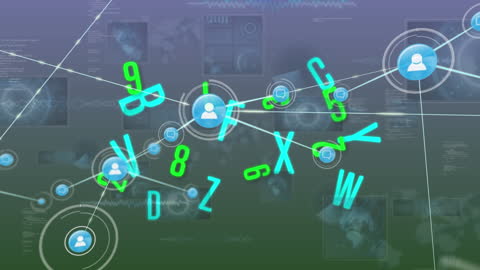 Digital Network with Data and Connections