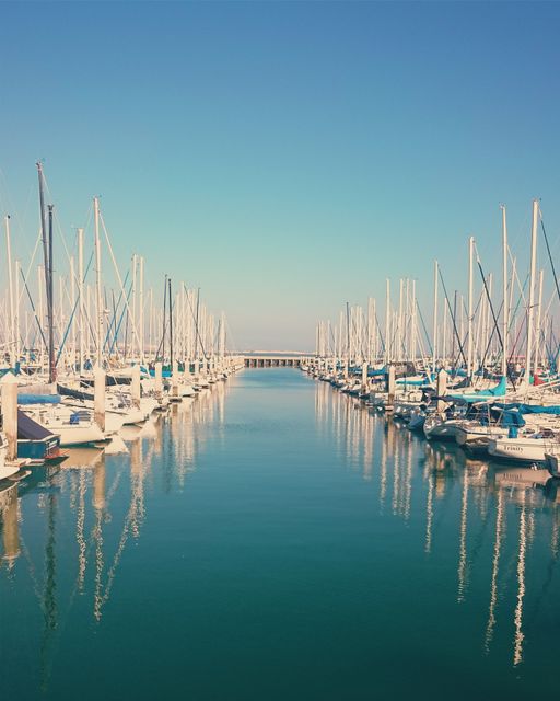 Serene marina with rows of sailboats calmly docked on a clear, sunny day. Ideal for travel, marine life, or recreational activities themes. Perfect for marketing materials for coastal tourism, boating events, or relaxation.