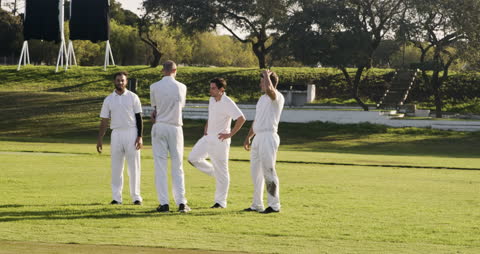Cricket Players Strategizing on Field Under Sunny Sky