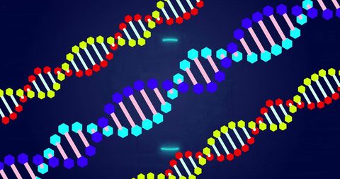 Colorful Digital Representation of DNA Strands - Download Free Stock Images Pikwizard.com
