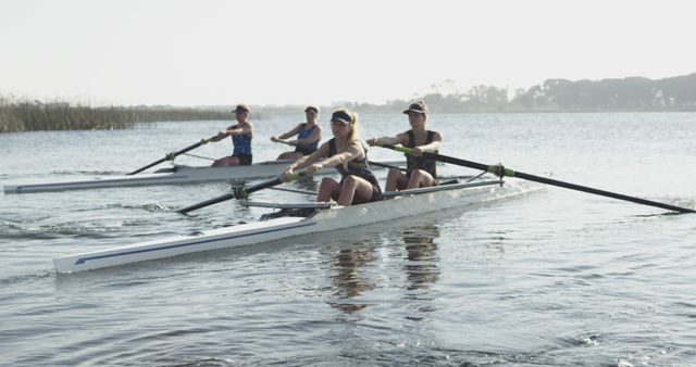 Team of Female Rowers Training on a Sunny Day - Download Free Stock Images Pikwizard.com