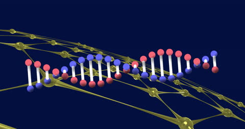 3D Animated DNA Structure with Networking Elements