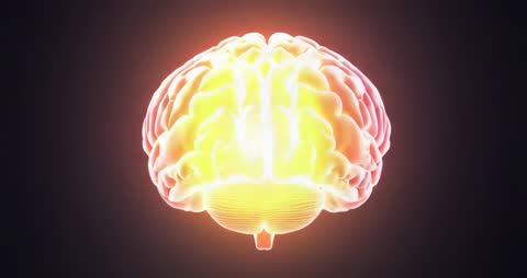 Glowing 3D Brain Model Rotating in Energy Field
