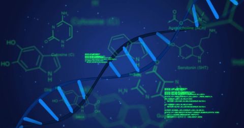 Futuristic Digital Analysis with DNA Strand and Chemical Data - Download Free Stock Images Pikwizard.com