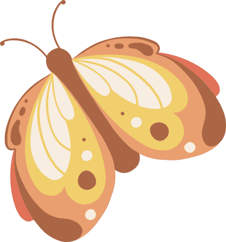elegant butterly vector on transparent background - Download Free Stock Videos Pikwizard.com