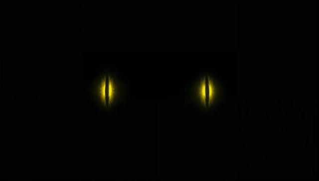 Mysterious glowing yellow eyes in darkness