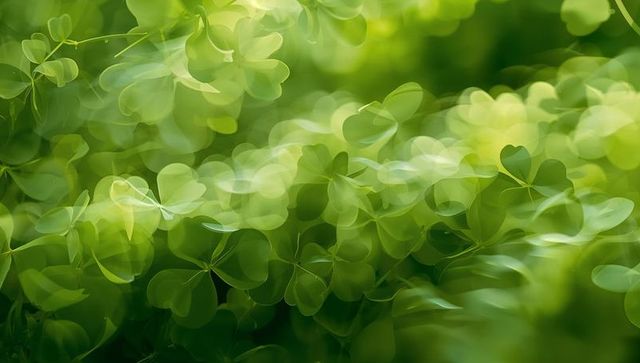 Dreamy green clover bokeh background with soft light streaks and abstract foliage