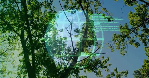 Holographic Globe Over Forest Canopy with Digital Code Overlay