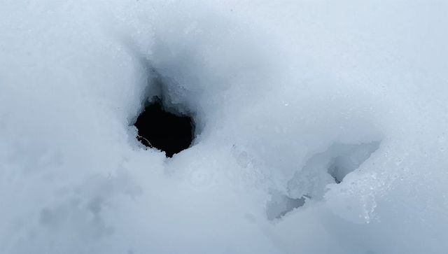 Revealing dark snow cavity with frost rim and granular ice texture, close-up