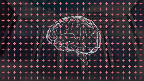 Digital Brain and Cross Visualization in Data Server Room