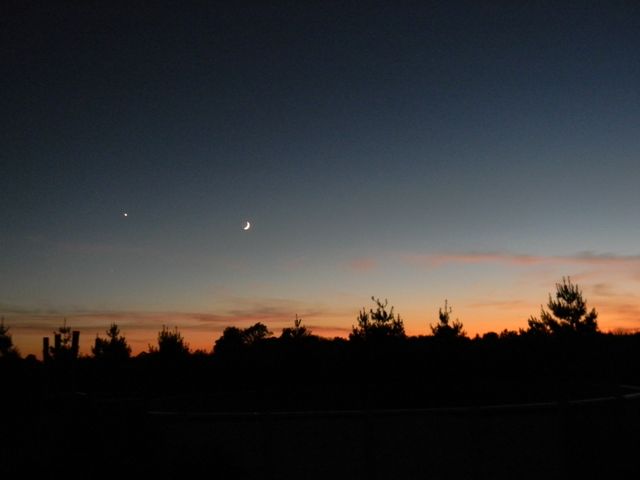 Scenic Silhouette of Trees at Dusk with Crescent Moon and Evening Star - Download Free Stock Photos Pikwizard.com