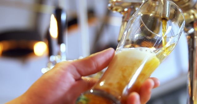 Bartender Pouring Beer from Tap into Pint Glass - Download Free Stock Images Pikwizard.com