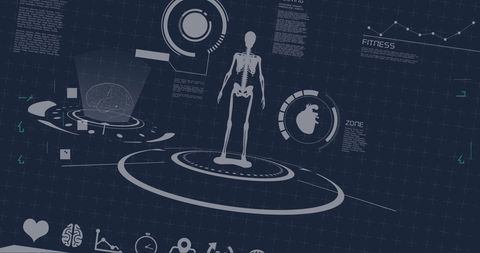 Digital Interface with Human Anatomy Hologram and Data