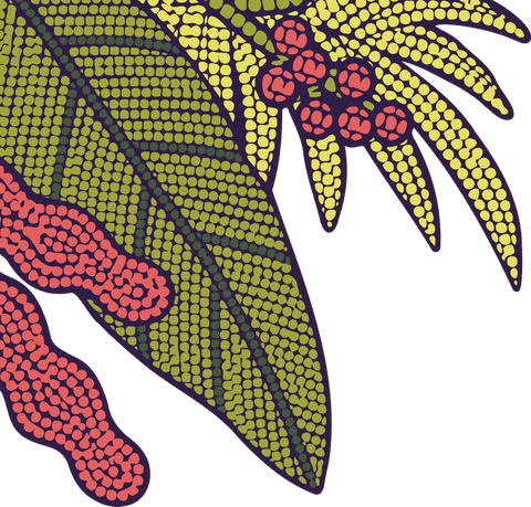 halftone dot botanical art on transparent background - Download Free Stock Videos Pikwizard.com