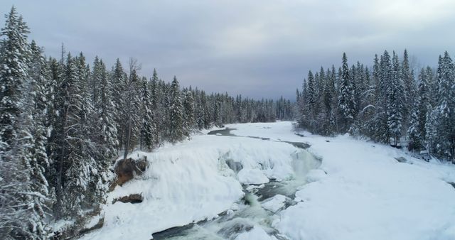 Stream flowing through snowy forest during winter 4k - Download Free Stock Photos Pikwizard.com