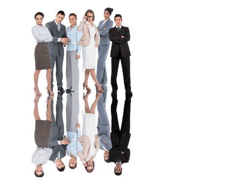 business group with mirror reflection on transparent background - Download Free Stock Videos Pikwizard.com