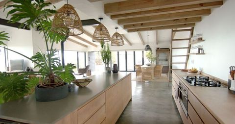 Spacious Modern Kitchen with Island and Natural Decor Elements