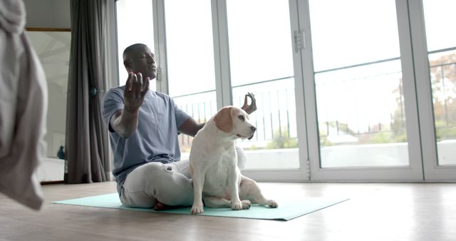 Man Practicing Meditation with Dog on Yoga Mat in Bright Room - Download Free Stock Images Pikwizard.com