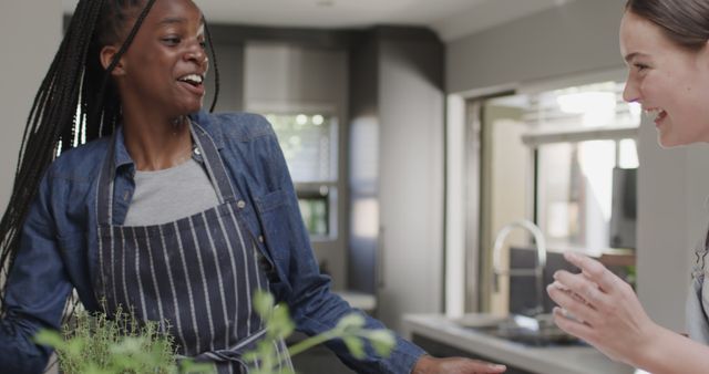 Two Women Laughing Together in Modern Kitchen - Download Free Stock Images Pikwizard.com