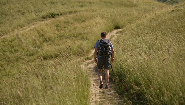 Solo hiker walking along sunlit grassy trail with backpack on rolling hillside