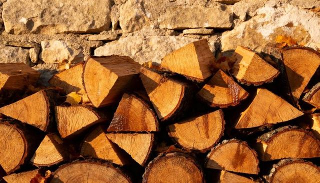 Sunlit stacked split firewood against pale stone wall showing saw marks and bark detail