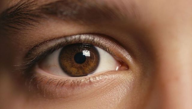 Close-up brown eye revealing iris detail, skin texture, catchlight, macro portrait
