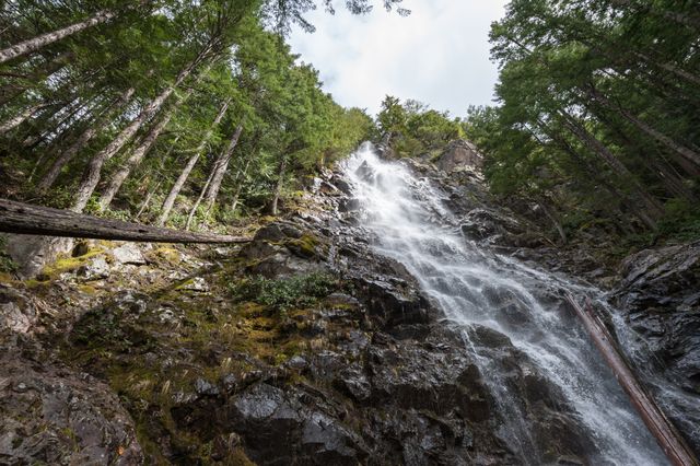 Waterfalls Between Trees Landmark during Daytime - Download Free Stock Photos Pikwizard.com